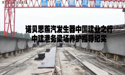 諾貝思專業(yè)技術(shù)團(tuán)隊(duì)為中建港務(wù)梁場(chǎng)進(jìn)行蒸汽發(fā)生器安裝及養(yǎng)護(hù)指導(dǎo)
