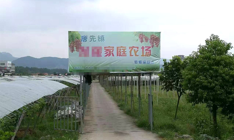 浙江葡萄種植農(nóng)場的釀酒蒸汽發(fā)生器享受諾貝思技術(shù)團隊檢修維護服務(wù)
