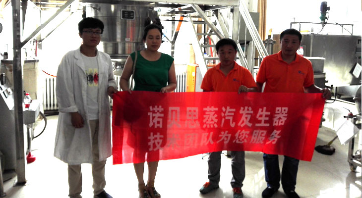 實(shí)驗(yàn)研究專用蒸汽發(fā)生器