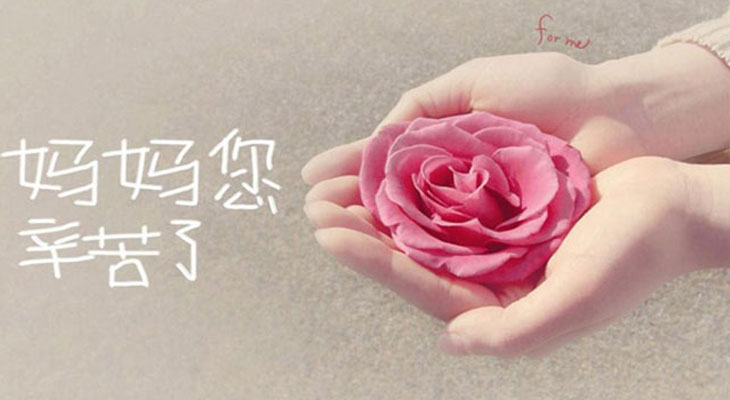 小型家用蒸汽發(fā)生器