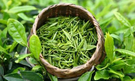綠茶加工專用0.1t燃?xì)庹羝l(fā)生器為制茶廠打開(kāi)效益之門(mén)