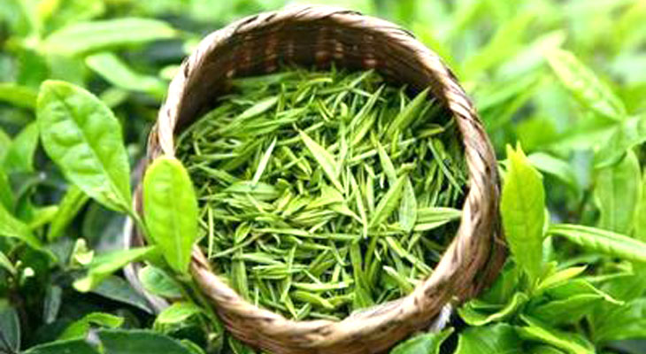 綠茶加工專用0.1t燃?xì)庹羝l(fā)生器