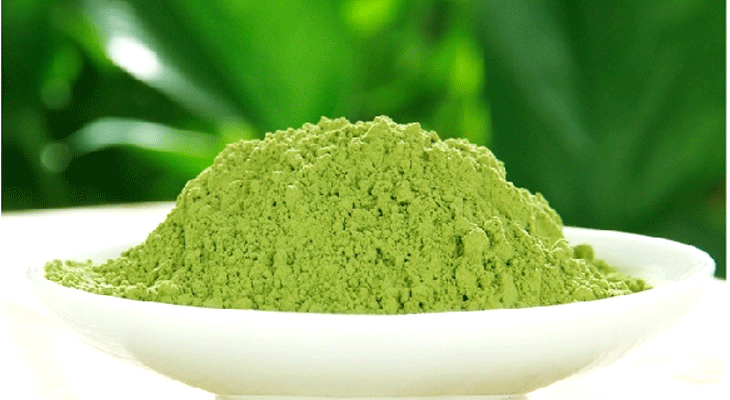抹茶加工CH18KW蒸汽發(fā)生器