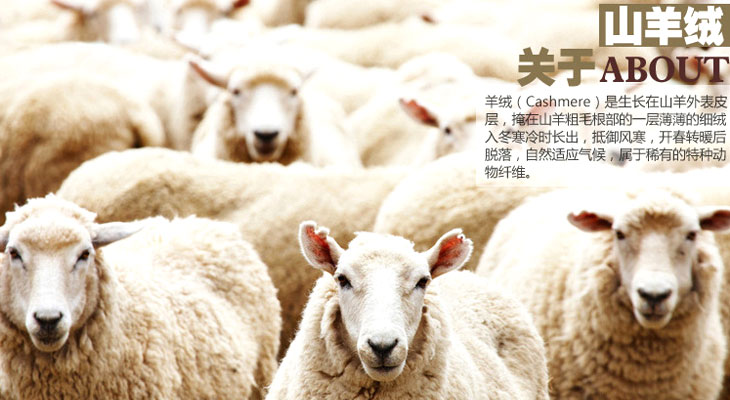 電蒸汽發(fā)生器