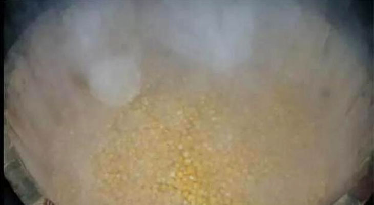 釀酒蒸汽發(fā)生器