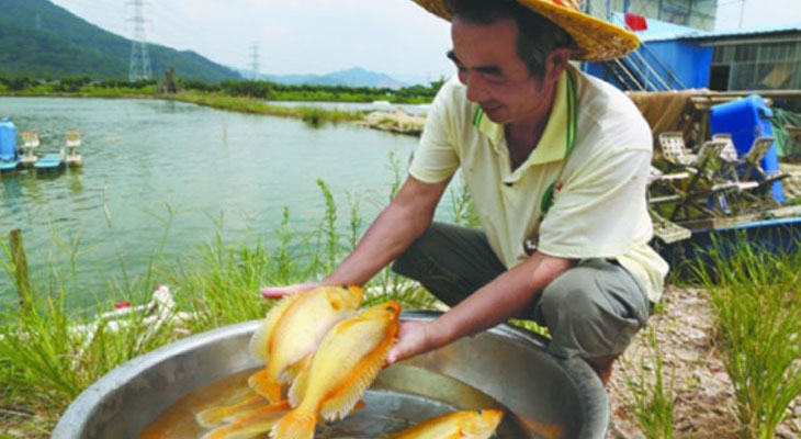 飼料加工專用燃?xì)庹羝l(fā)生器