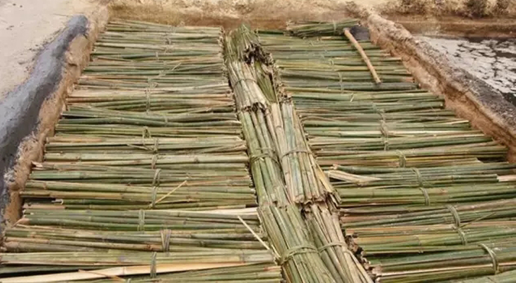 造紙蒸汽發(fā)生器