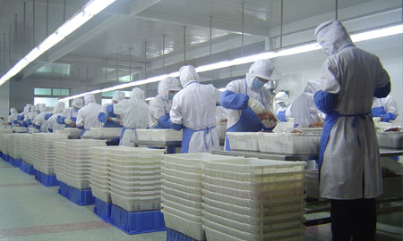 食品加工行業(yè)應(yīng)如何正確選擇蒸汽發(fā)生器種類？
