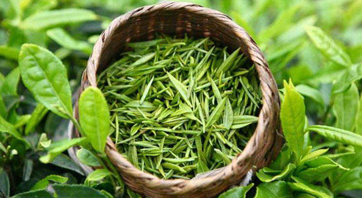 烘干蒸汽發(fā)生器