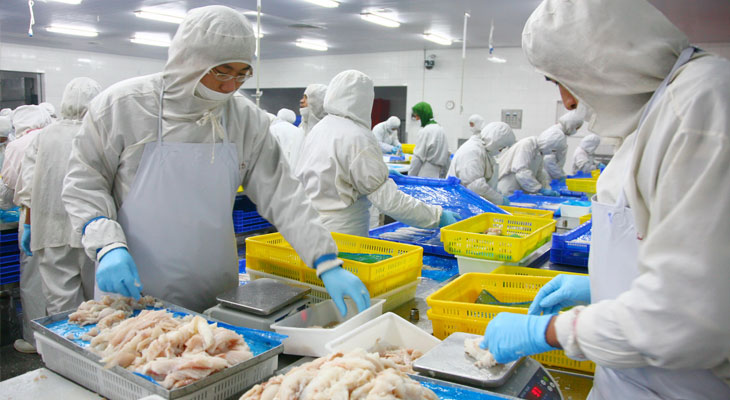 食品加工蒸汽發(fā)生器