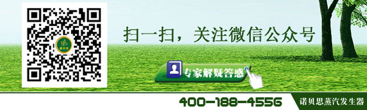 綠豆蒸煮專用蒸汽發(fā)生器