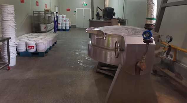 福建食品廠燃氣蒸汽發(fā)生器